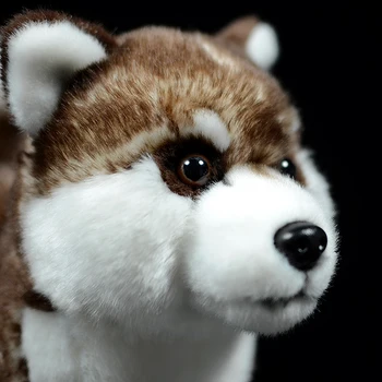 Modeliranje pas lutka slatka smeđa Sibirski haski soft pravi život Canis lupus familiaris pliš plišane igračke model za djecu poklon 1