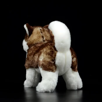 Modeliranje pas lutka slatka smeđa Sibirski haski soft pravi život Canis lupus familiaris pliš plišane igračke model za djecu poklon 2