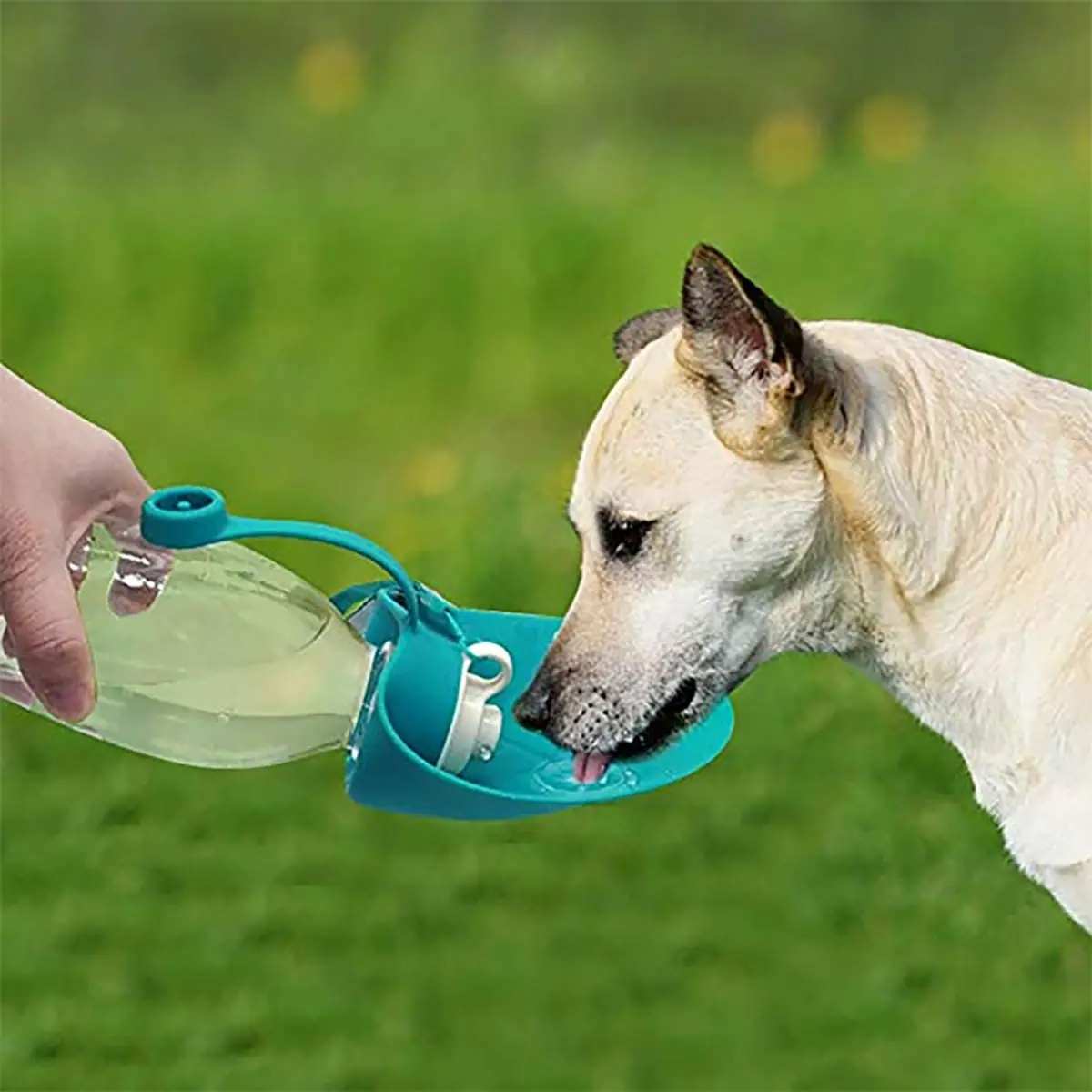 Ljubimac pas prijenosni boca vode list u obliku posuda za piknik pribor za vanjsku putovanja pitke uređaj, kuhalo za vodu Artikli Slika 2