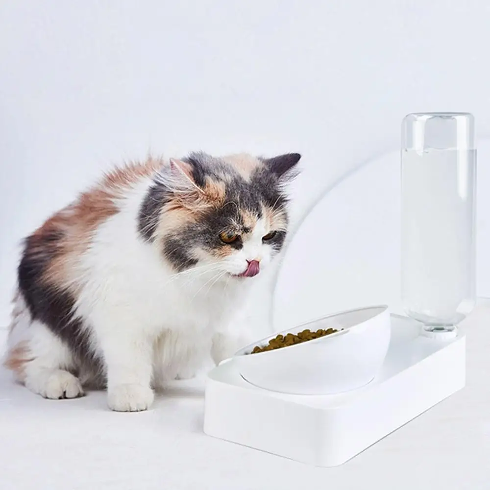 Nova Podesiva Tanjur Za Mačje Hrane Pet Feeder Water Bowl For Cats And Small Dogs Supplies Pet Cats Je Nagib Dual Čaša S Držačem Slika 3